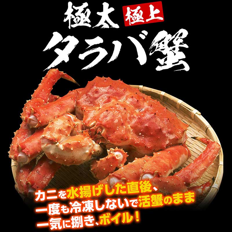 プレゼントあり　特大タラバ蟹足 900g(総重量1kg前後)