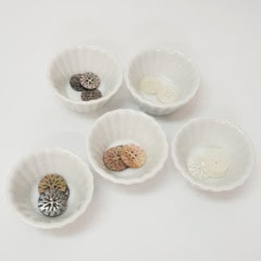 �ֲ���������ܥ���