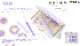 Tulip (���塼��å�) ���ƥ����饵�����å���󥰥�å��� �����˥��å� ETIMO Murasaki TEM-001�ʥѥå�����������:W188mm��D21mm��H153mm�ˡ�