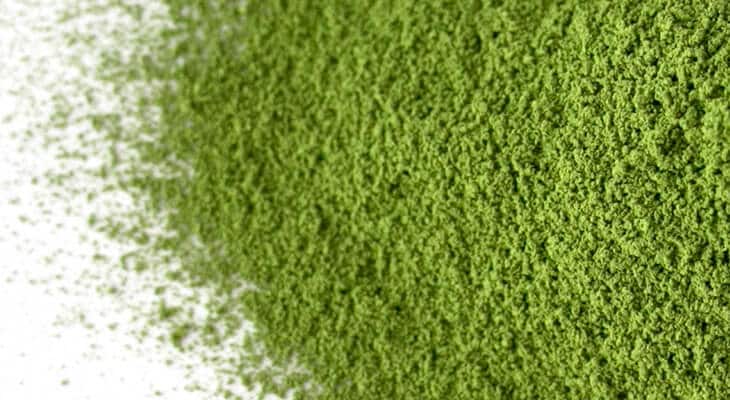 大人気！まとめ一覧 薄茶] 茶和（さわ）（お一人様抹茶合計2点までの購入制限、3点 茶