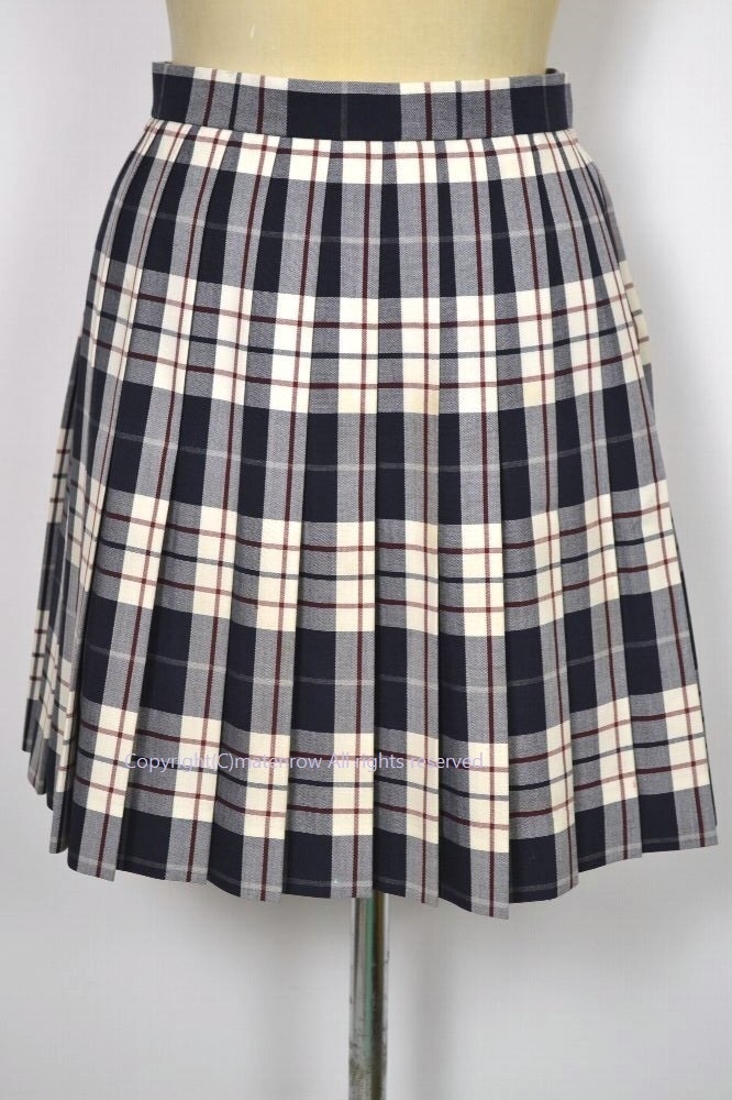 大阪府立豊島高等学校 豊島高校 生徒からも人気の制服 夏服 豊島高校