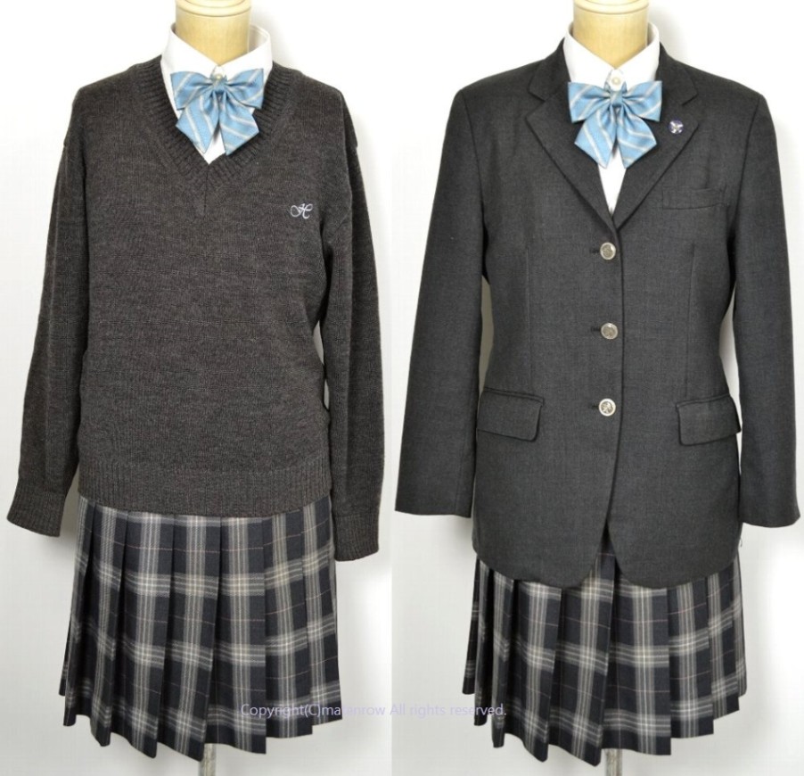 東京都 豊南高等学校 ブレザー冬服 リボン 校章＊E0014 | ブレザー 冬