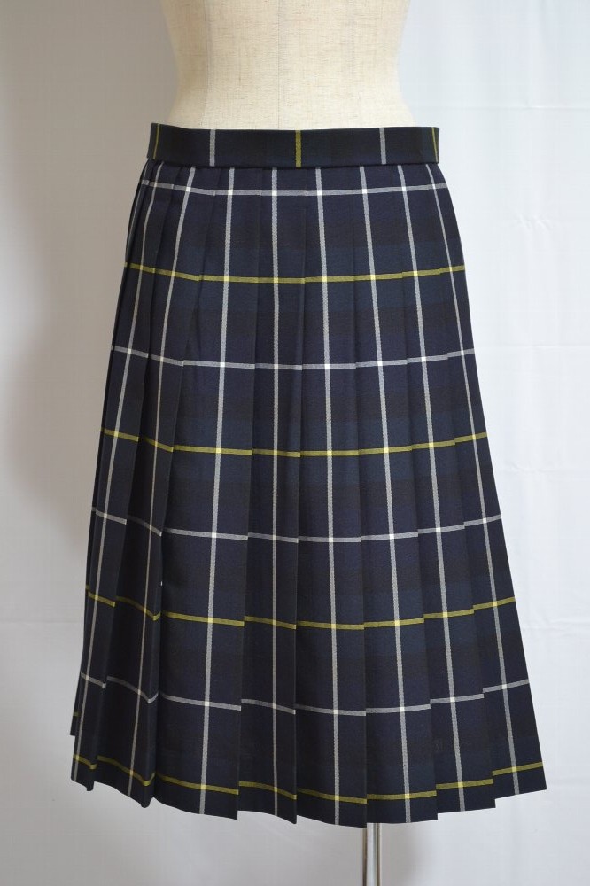 良品 大size 群馬県立 新田暁高等学校 夏スカート＊T0753 | 夏スカート