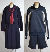  ܻΩع 顼 㡼 T0993