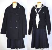  Ωع 顼 ݥꥨƥ륹  ٥ T3956