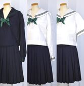 size W75 ̸Ωع 3饤󥻡顼߲T3841