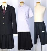 ������ ���ܾ��ȹ����ع� �߲��� �ѥ��ԥ󥰥֥쥶�� �饤�����ꥹ������ û�ѥ��T3670