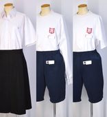 ��size �Ų���Ω ����������ع� ���� �������T4066