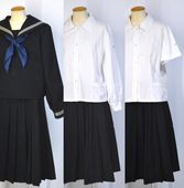 ��size W85 �Ų��� 3�饤��������顼�߲������ �������ա�T4386