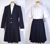 ��̸�Ω �ۥ�ë�����ع� �֥쥶���߲�����T4855