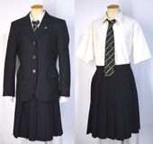 �����Ω ���������ع� �֥쥶���߲��� �ͥ����� ���ϡ�T4892