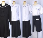 �Ų��� 3�饤��������顼�߲������ ���� ���� ��������15�����åȡ�T5063