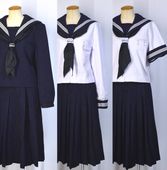 ������ Ǧ����ع� 3�饤�󥻡��顼�߲������ ��������T5074