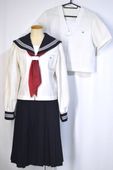 �礭�� ��̸�Ω ����������ع� 3�饤�󥻡��顼������� ��������T5233