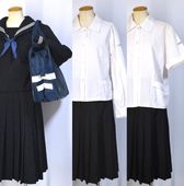 �Ų��� 3�饤��������顼�߲������ �������� �̳إХå���T4939