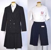 �Ų���Ω ����������ع� �֥쥶���߲��� �������T5492