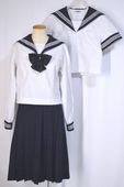 ��̸�Ω �������ҹ����ع� 3�饤�󥻡��顼������� ���ץ꡼�ĥ������ȡ�T5777