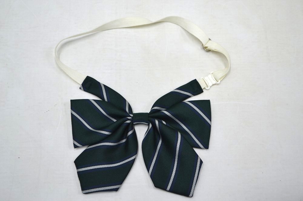 ��size �롼�����å��� �٥��Ȳ��� ��ܥ� ��NA0519