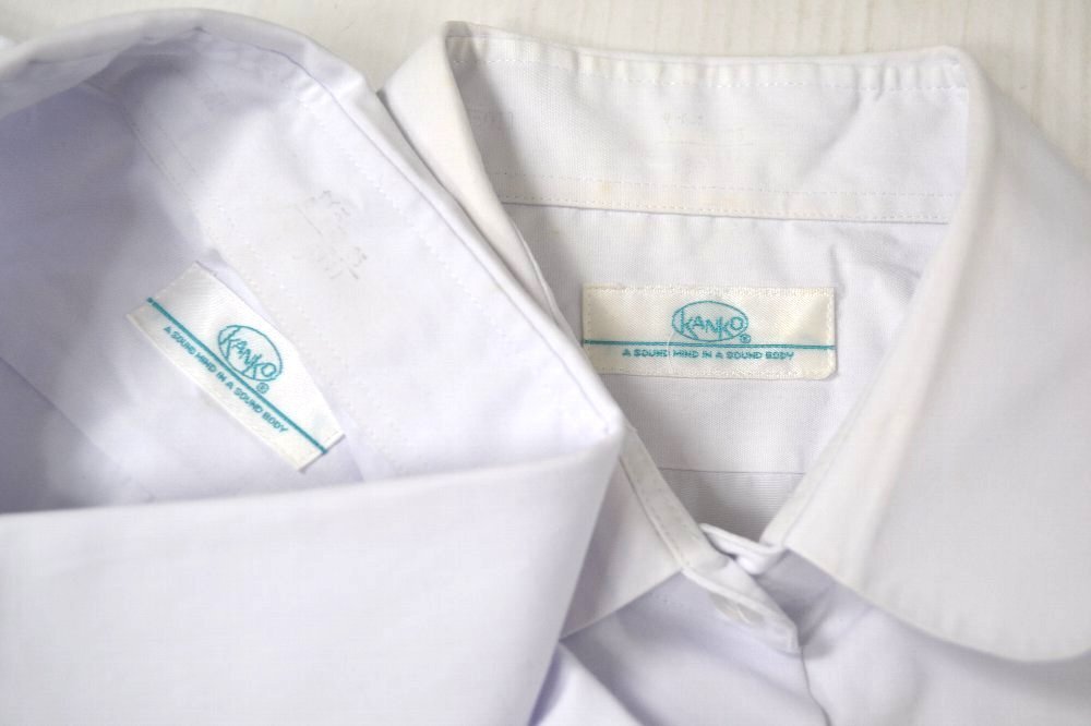 ������ �ٻγر�����ع� Ĺµ�֥饦�� Ⱦµ�֥饦��