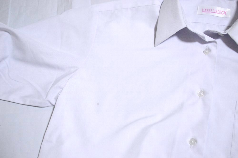 ����� ʸ�ڽ��ҹ����ع� �֥쥶������ ��ܥ��T4262