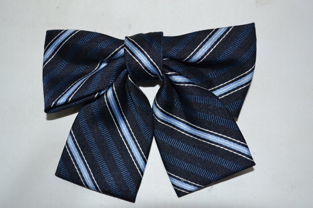 ʼ�˸� ��Ω��ð�����ع� �֥쥶������ �ƥ������� ��ܥ� ��NA0537