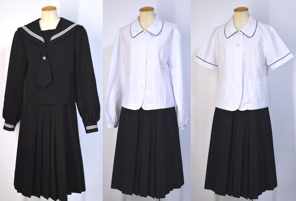 �Ų��� 3�饤��������顼�߲������ ���� ���� ��������15�����åȡ�T5063