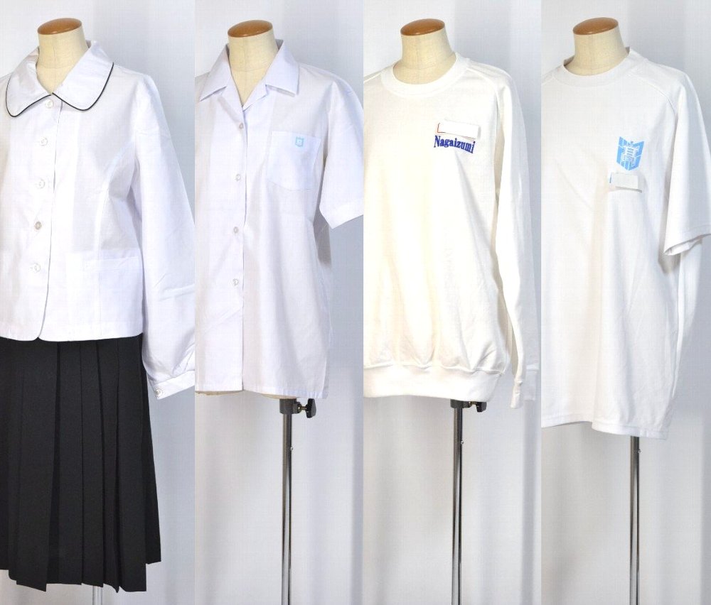 �Ų���Ω ����������ع� �֥饦�� ������ ¾12�����åȡ�T2534