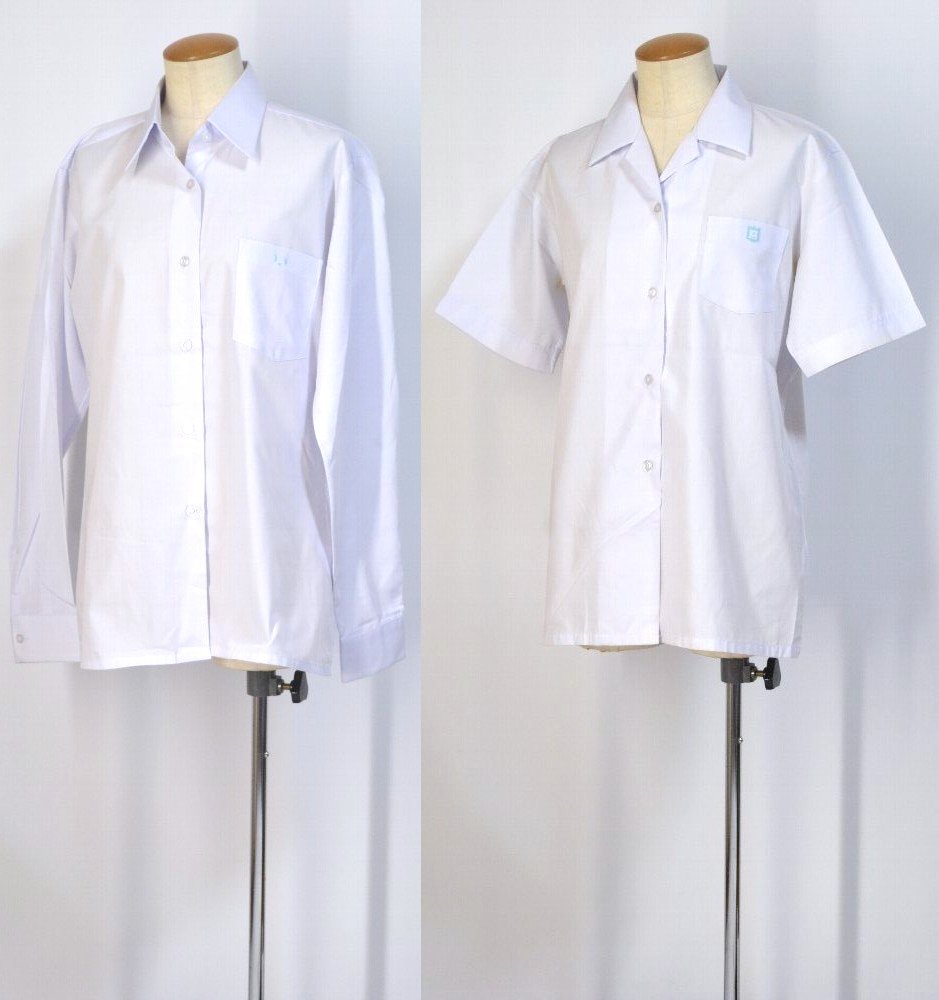 �Ų���Ω ����������ع� �֥饦�� ������ ¾12�����åȡ�T2534