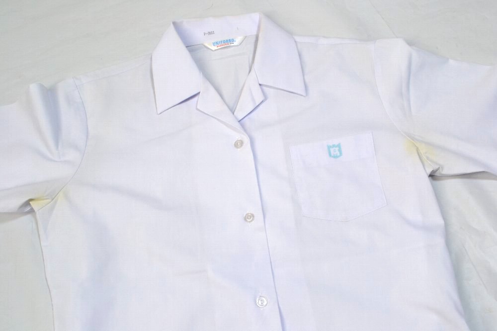 �Ų���Ω ����������ع� �֥饦�� ������ ¾12�����åȡ�T2534