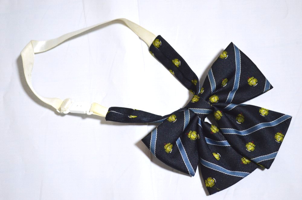 ����� ˭��ر������ع� �֥쥶������ ��ܥ��JT4272