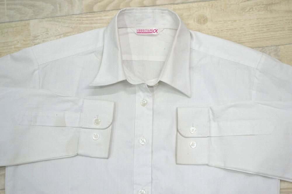 ����� Ȭ���ر�����ع� Ĺµ�֥饦�� ��SA6299