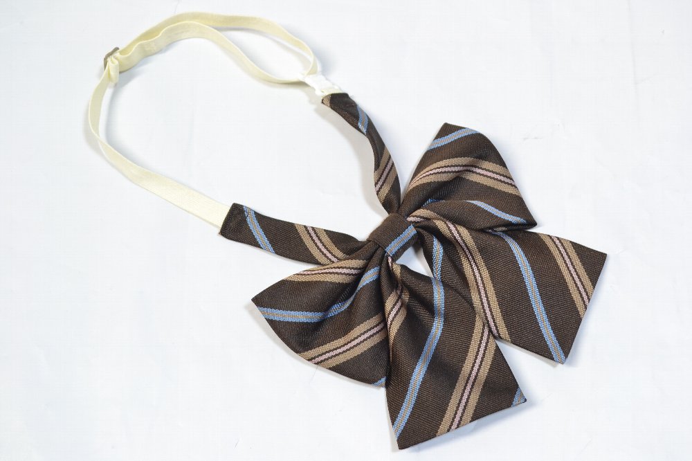 礭 ֥饦  ܥ ΢դ EAST BOYT2554