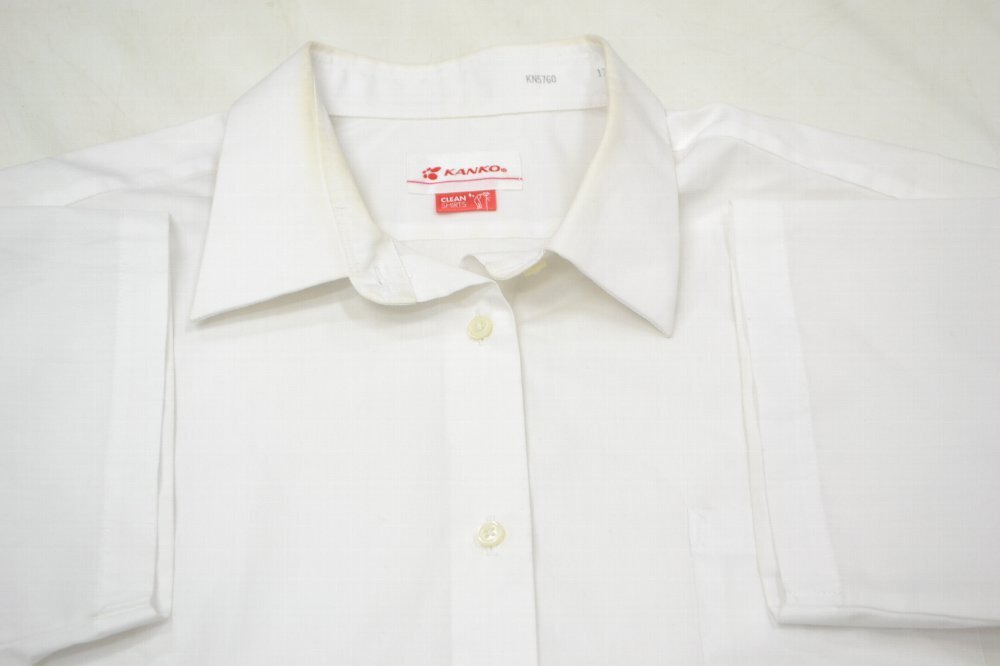 ��size170B Ⱦµ��������֥饦����P1038s