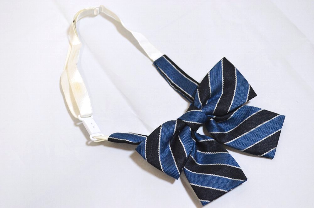 �礭�� �����Ω ��¢�����ع�����°��ع� �֥쥶���߲��� ��ܥ��T3488