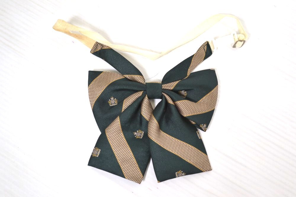 �����Ω ������������ع� ����