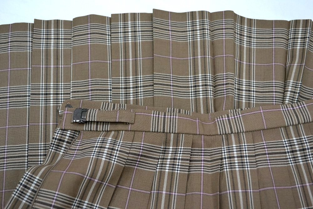 ��size �֥饦����ɿ��� �ƥ������Ȣ�P1008s