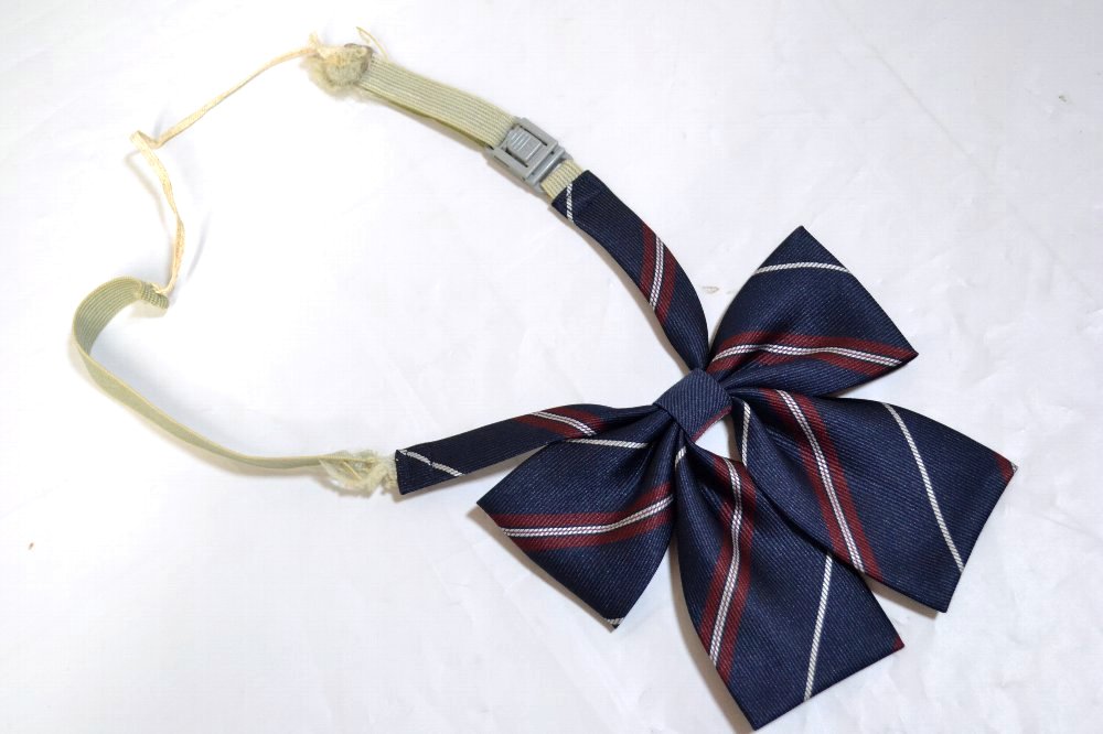 ����� �Ⱦͽ��ҹ����ع� �֥쥶��������T2903