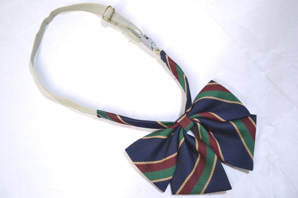 ��̸�Ω �����������ع� �֥쥶������ ��ܥ��T2905