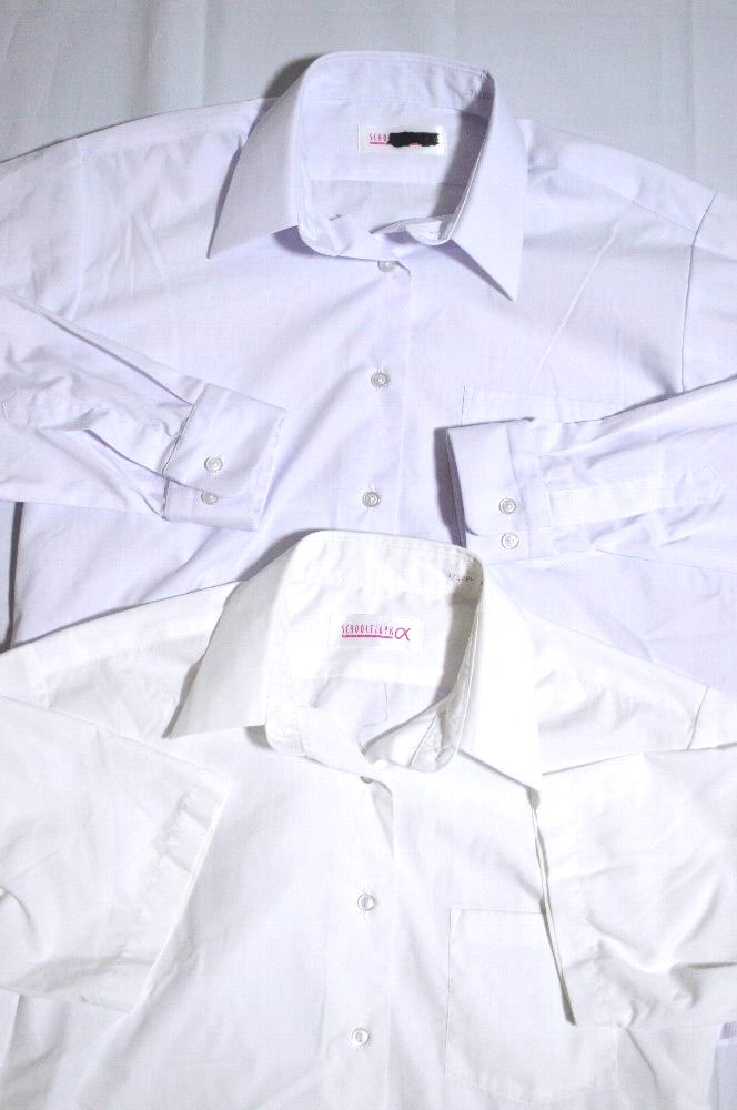 �Ų���Ω ���¾�������ع� �֥쥶���߲��� �����ѡ��������ȡ�T4389