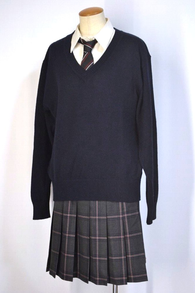 �����Ω ��ʿ�����ع� �֥쥶������ �ͥ�������T2904