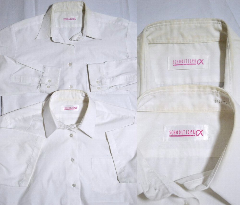 礭 Ω пع ֥쥶߲ ͥT3951