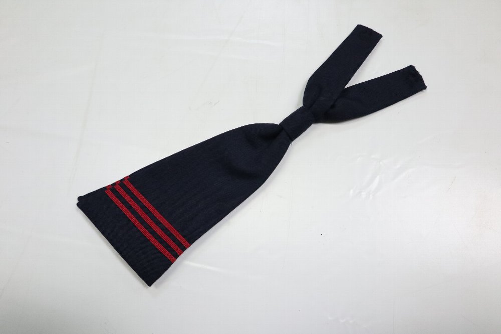  ո ع ֣饤󥻡顼 R0248