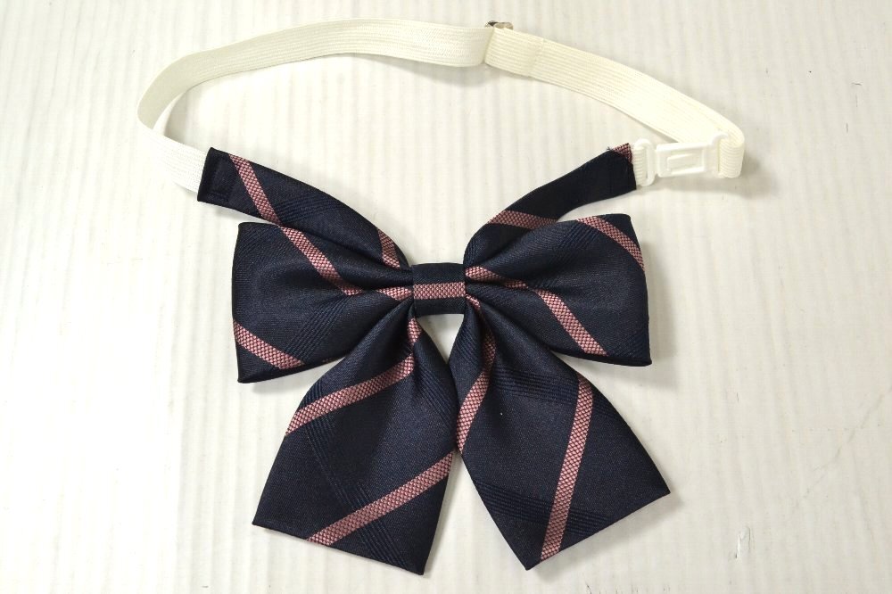 東京都 飛鳥未来高等学校 冬スカート リボン | 冬スカート | 制服