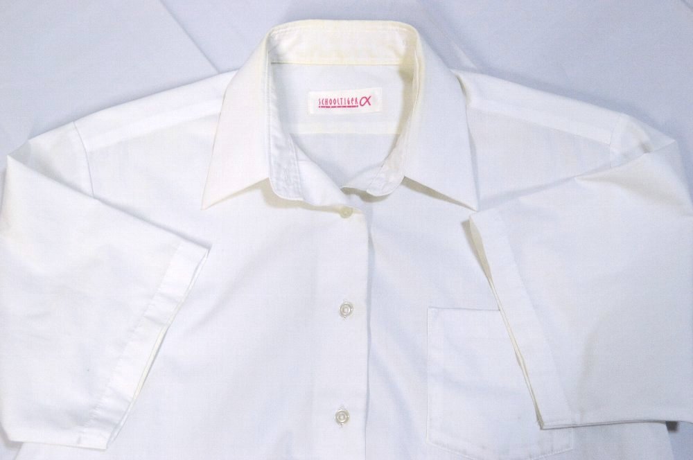 size  ;عع  ͥT3654