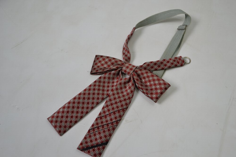 ��̸� ������ع� �֥쥶������ ��ܥ��T0215