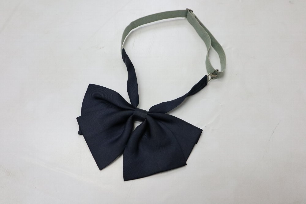 ����� ���϶�Ω ���������ع� �֥쥶���߲��� ��ܥ��R0199