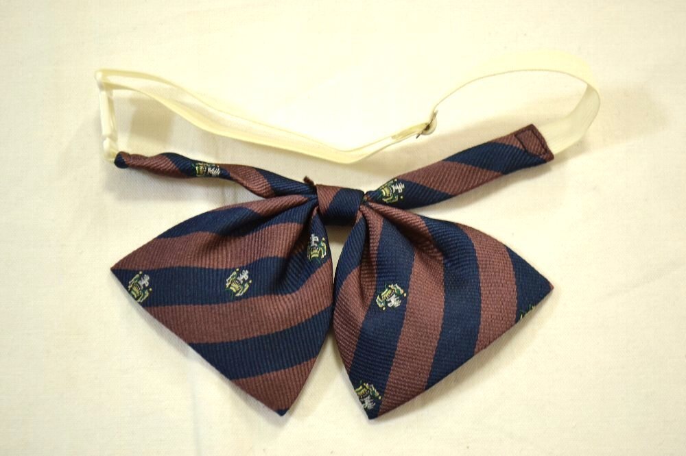 ��size W76 ����� �����Ω ������ع� �֥쥶������ ��ܥ����355��