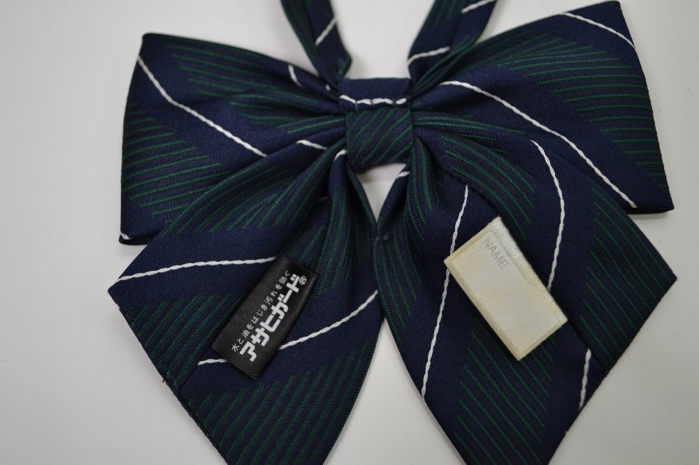 �����Ω �ḫ�����ع� �֥쥶������ �ͥ����� ��ܥ��T0044