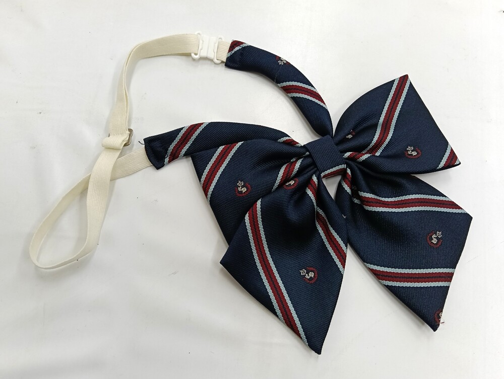 size w78 ߥ˲ ץ꡼ĥ ܥCS0070