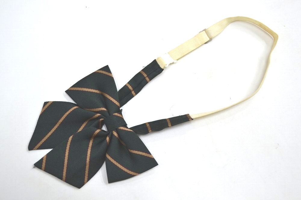 ����� ���¶�Ω������ع� �֥쥶������ �ƥ������� ��ܥ� ��&0880